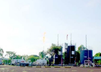 EIA of GPTOS : Additional Data Flowline KMG-A Project